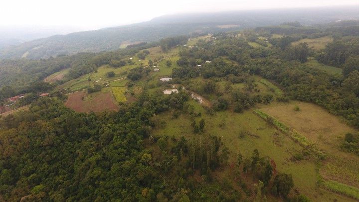 Chácara de 10 ha em Rolante, RS