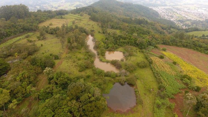 Chácara de 10 ha em Rolante, RS