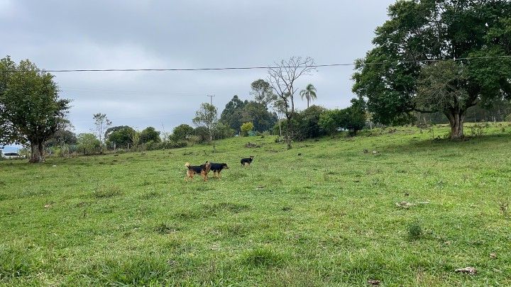 Chácara de 10 ha em Rolante, RS