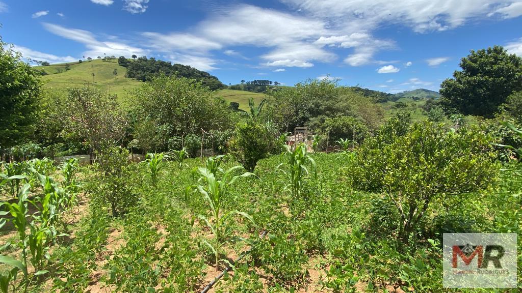 Sítio de 3.000 m² em Cambuí, MG