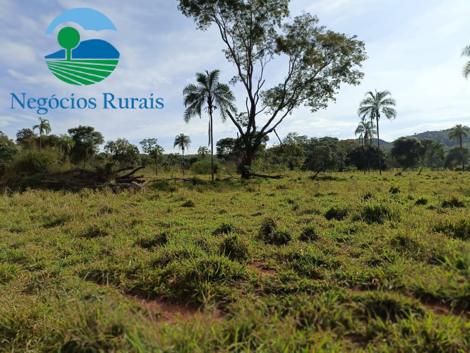 Fazenda de 484 ha em Campinaçu, GO