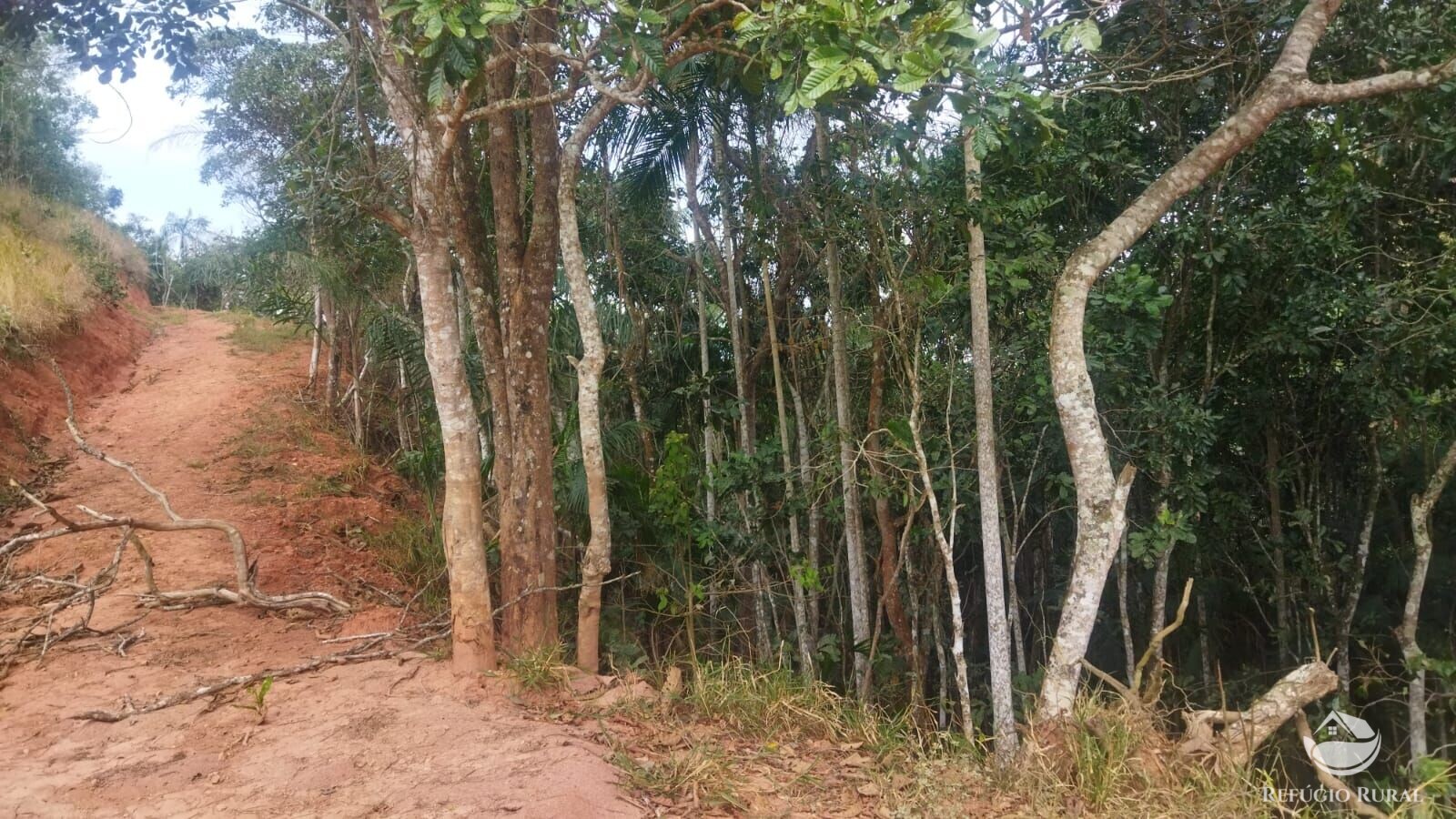 Terreno de 4 ha em São José dos Campos, SP
