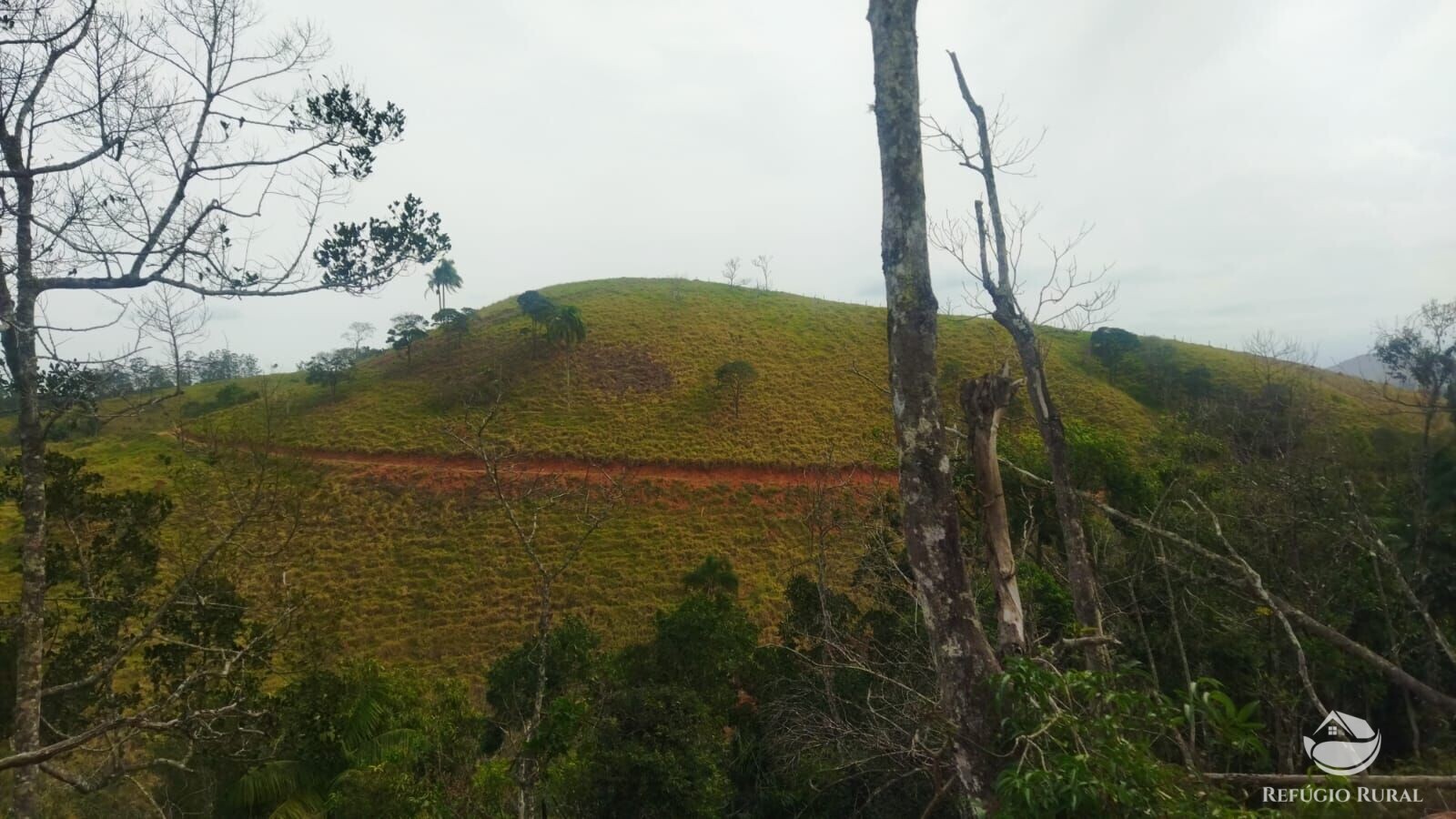 Terreno de 4 ha em São José dos Campos, SP