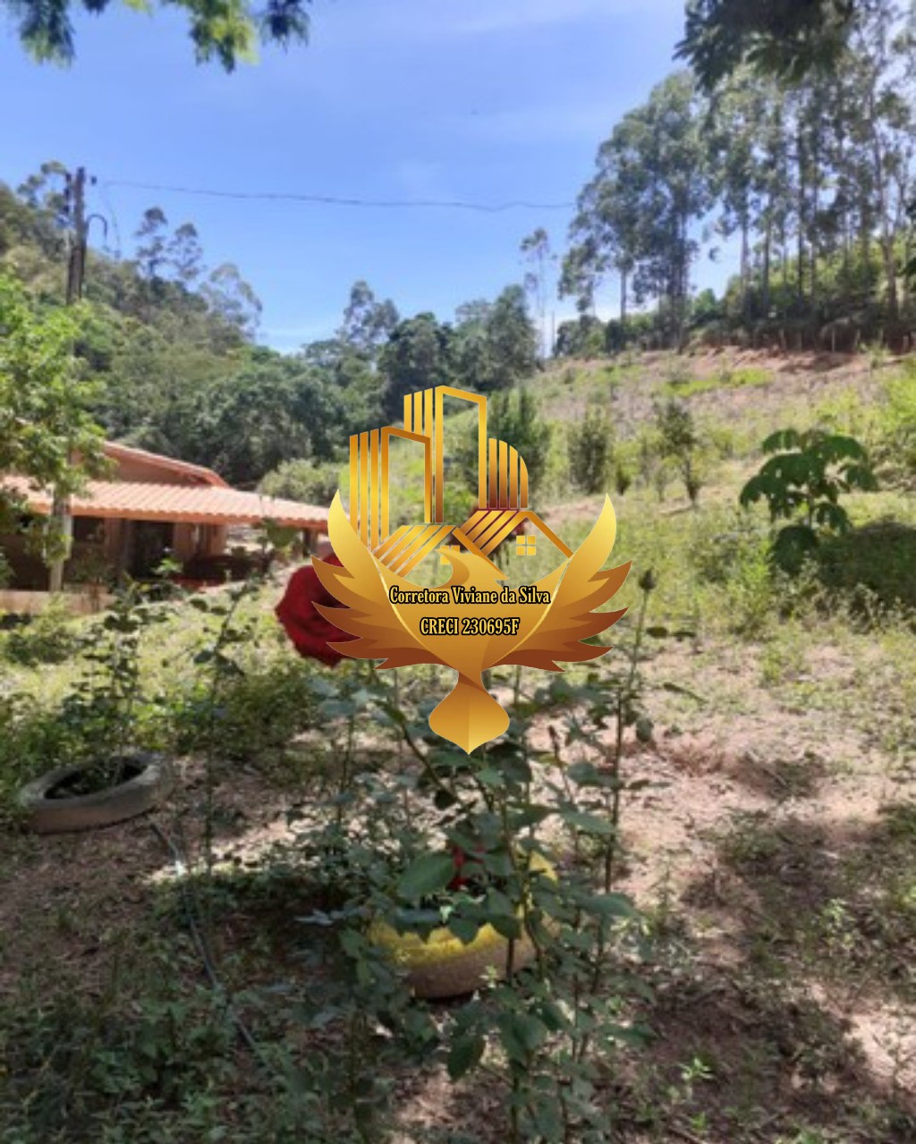 Chácara de 7.400 m² em Cunha, SP