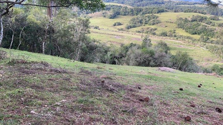 Chácara de 5 ha em Santo Antônio da Patrulha, RS