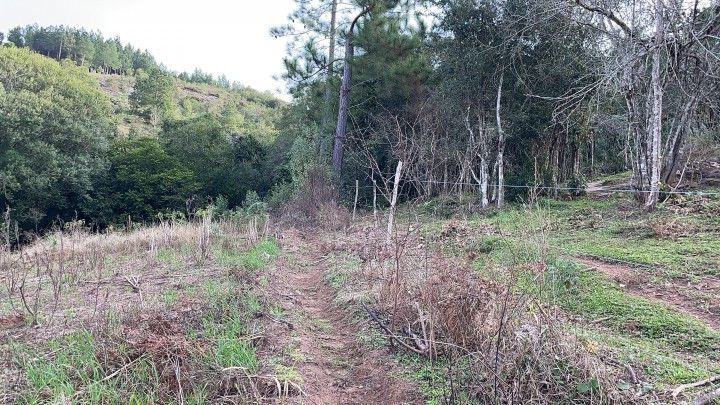 Chácara de 5 ha em Santo Antônio da Patrulha, RS