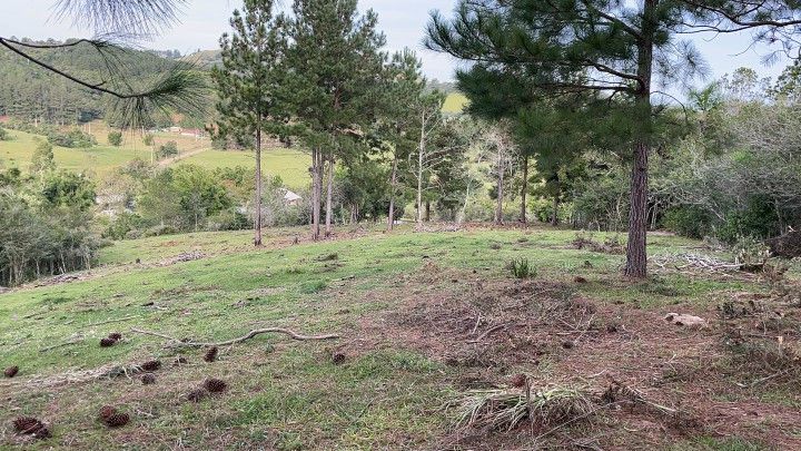 Chácara de 5 ha em Santo Antônio da Patrulha, RS