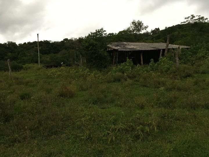 Sítio de 5 ha em Santo Antônio da Patrulha, RS
