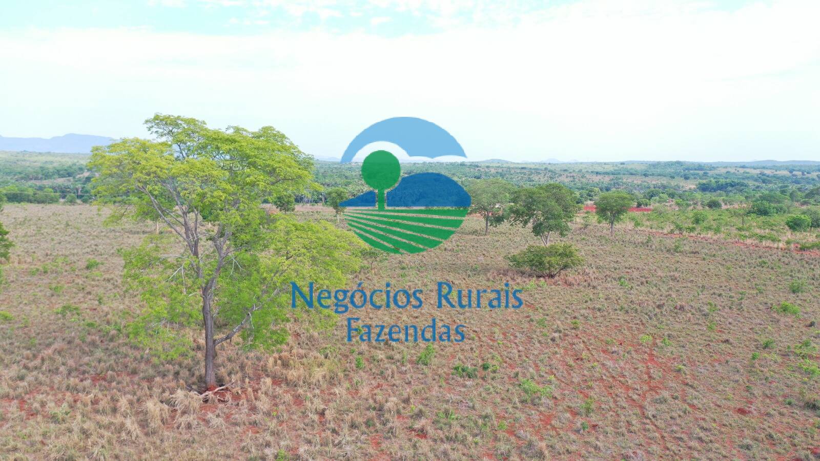 Fazenda de 290 ha em Palmeirópolis, TO