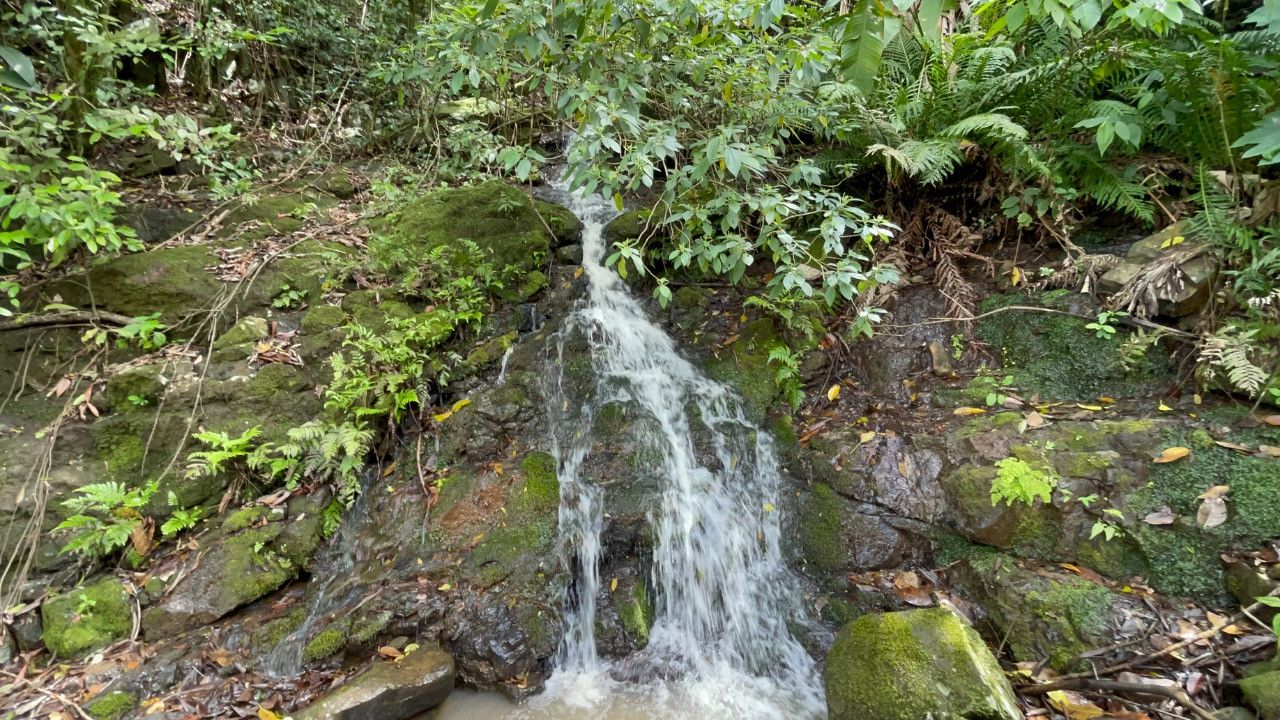 Chácara de 3.300 m² em Maquiné, RS