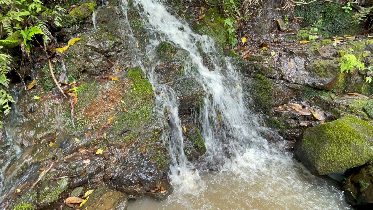 Chácara de 3.300 m² em Maquiné, RS