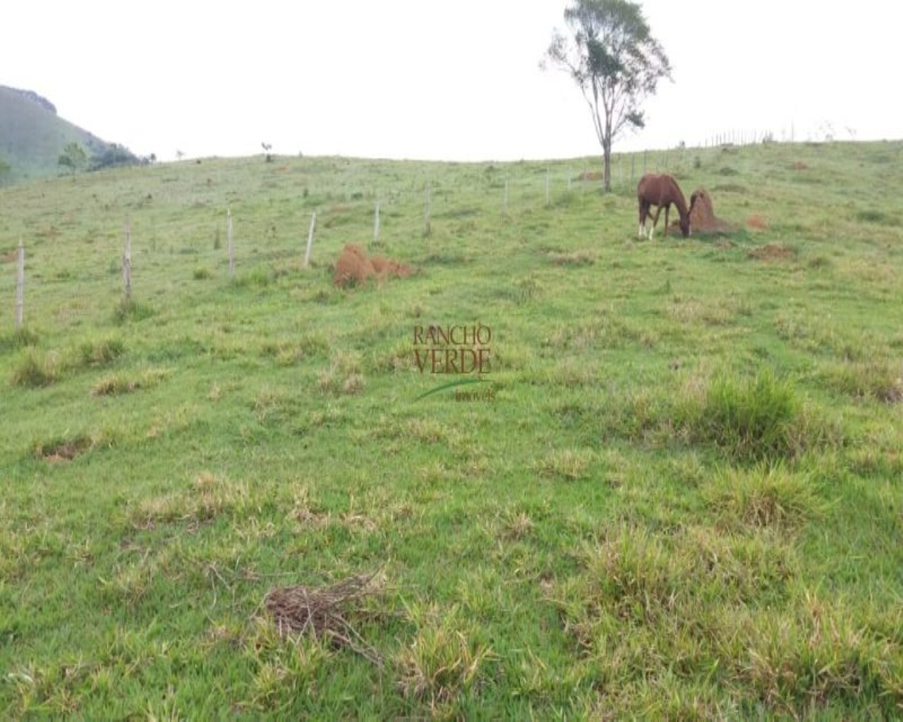 Sítio de 5 ha em Monteiro Lobato, SP