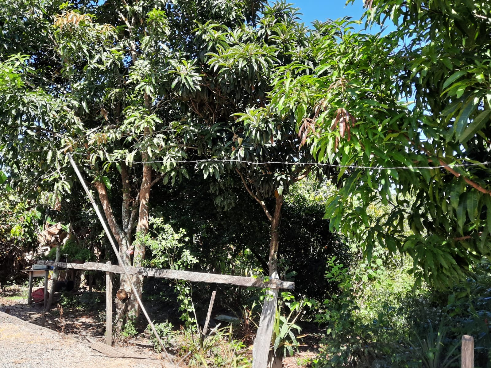 Chácara de 2 ha em Caçapava, SP