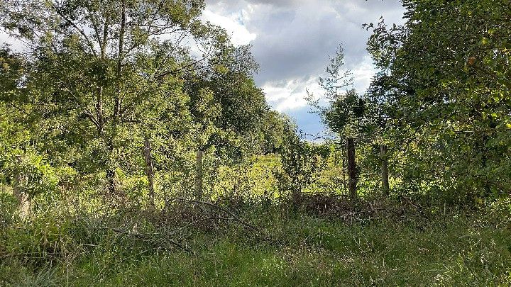 Chácara de 2.000 m² em Taquara, RS