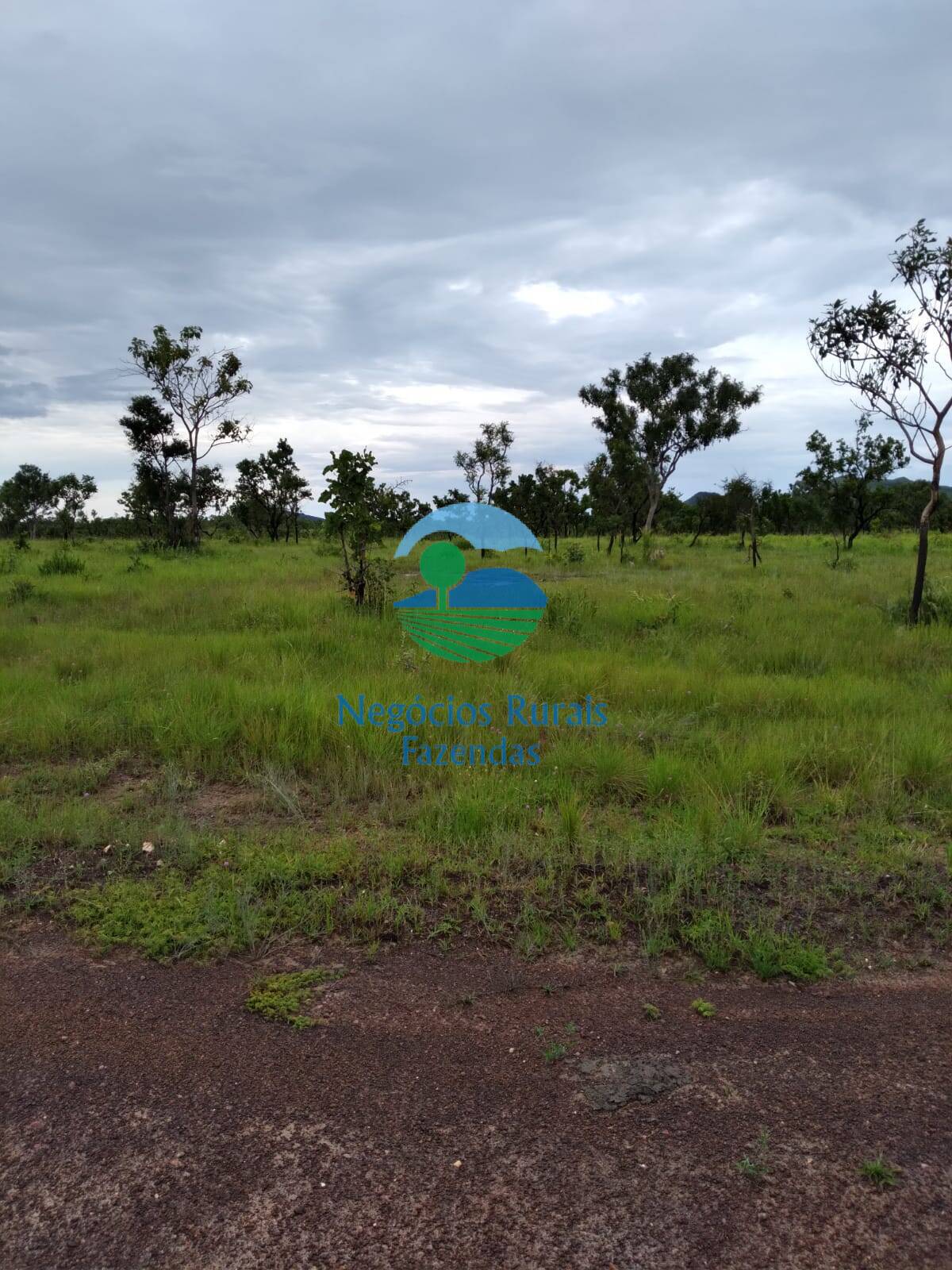 Fazenda de 4.840 ha em Taipas do Tocantins, TO