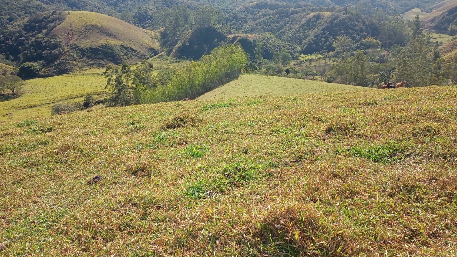 Terreno de 2 ha em São José dos Campos, SP