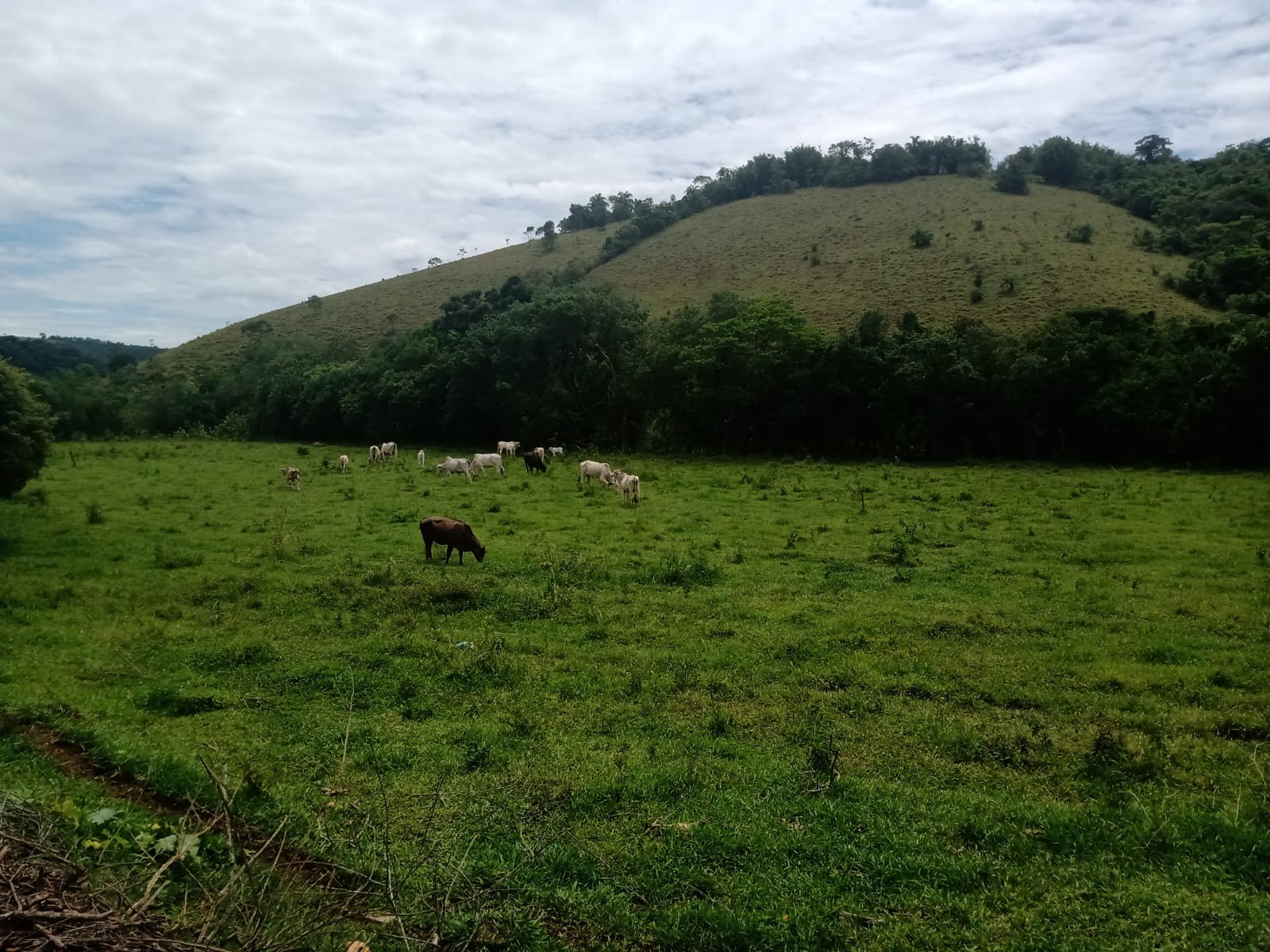 Fazenda de 486 ha em Taubaté, SP