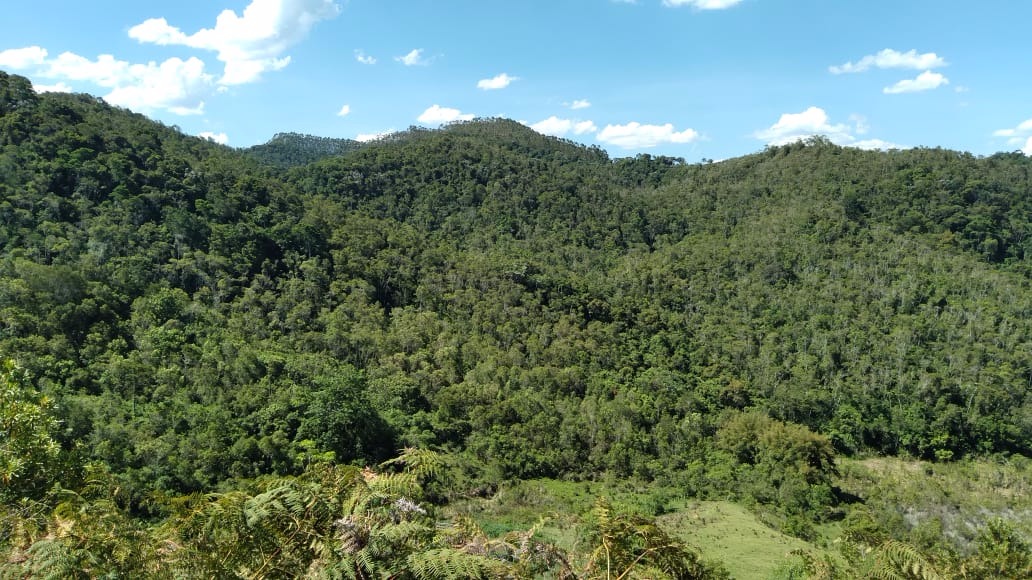 Fazenda de 123 ha em São Luiz do Paraitinga, SP