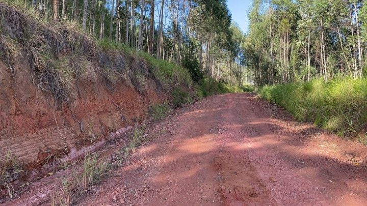 Chácara de 2 ha em Gravataí, RS