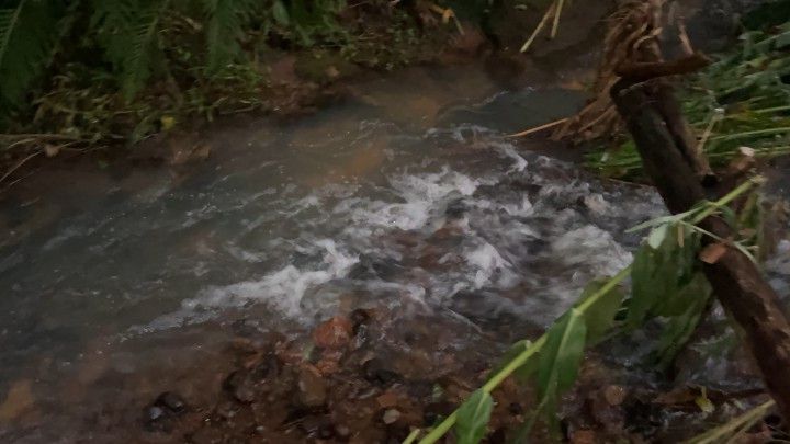 Chácara de 3 ha em Rolante, RS