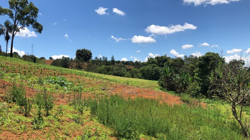 Terreno de 2 ha em Pouso Alegre, MG