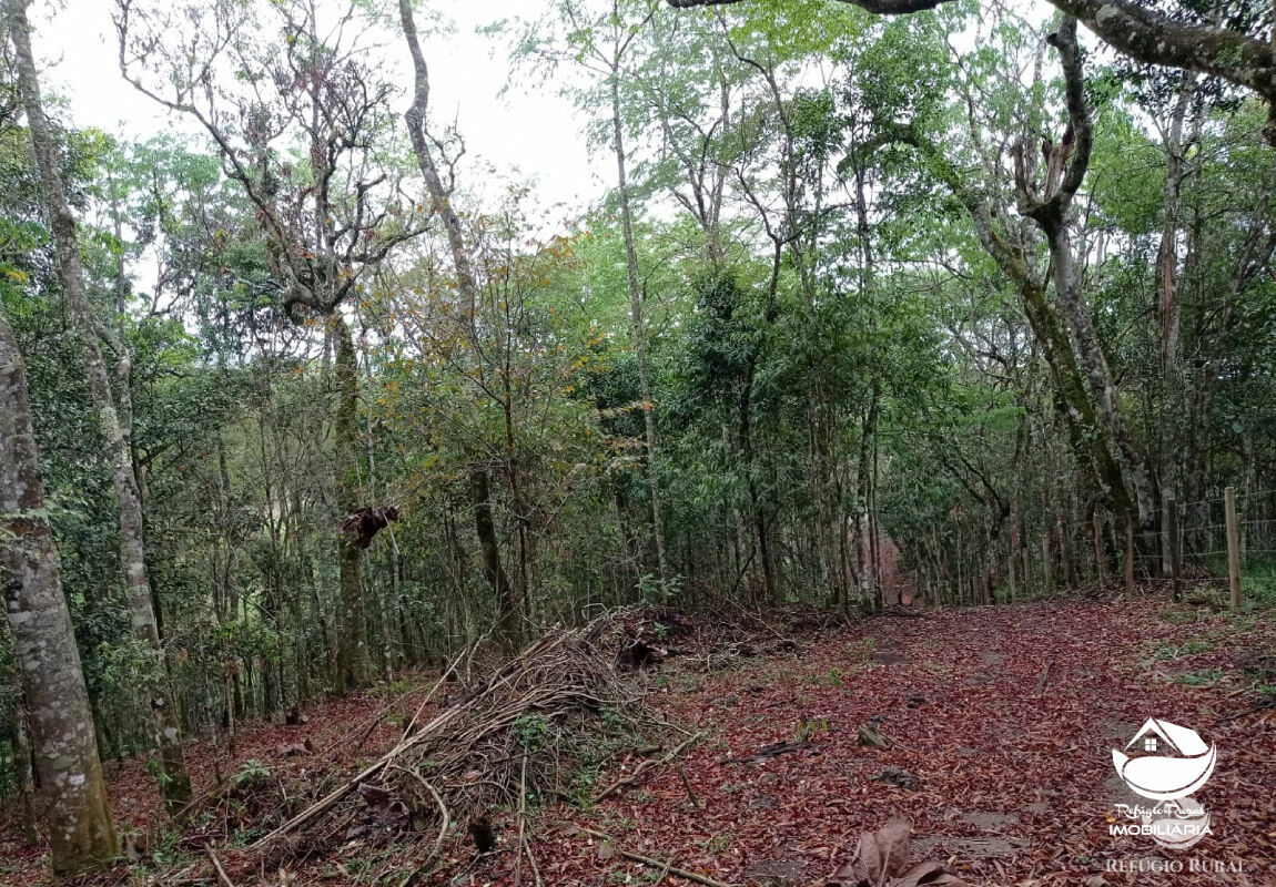 Terreno de 2 ha em São José dos Campos, SP