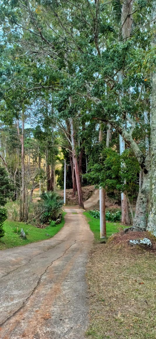 Sítio de 22 ha em Cunha, SP