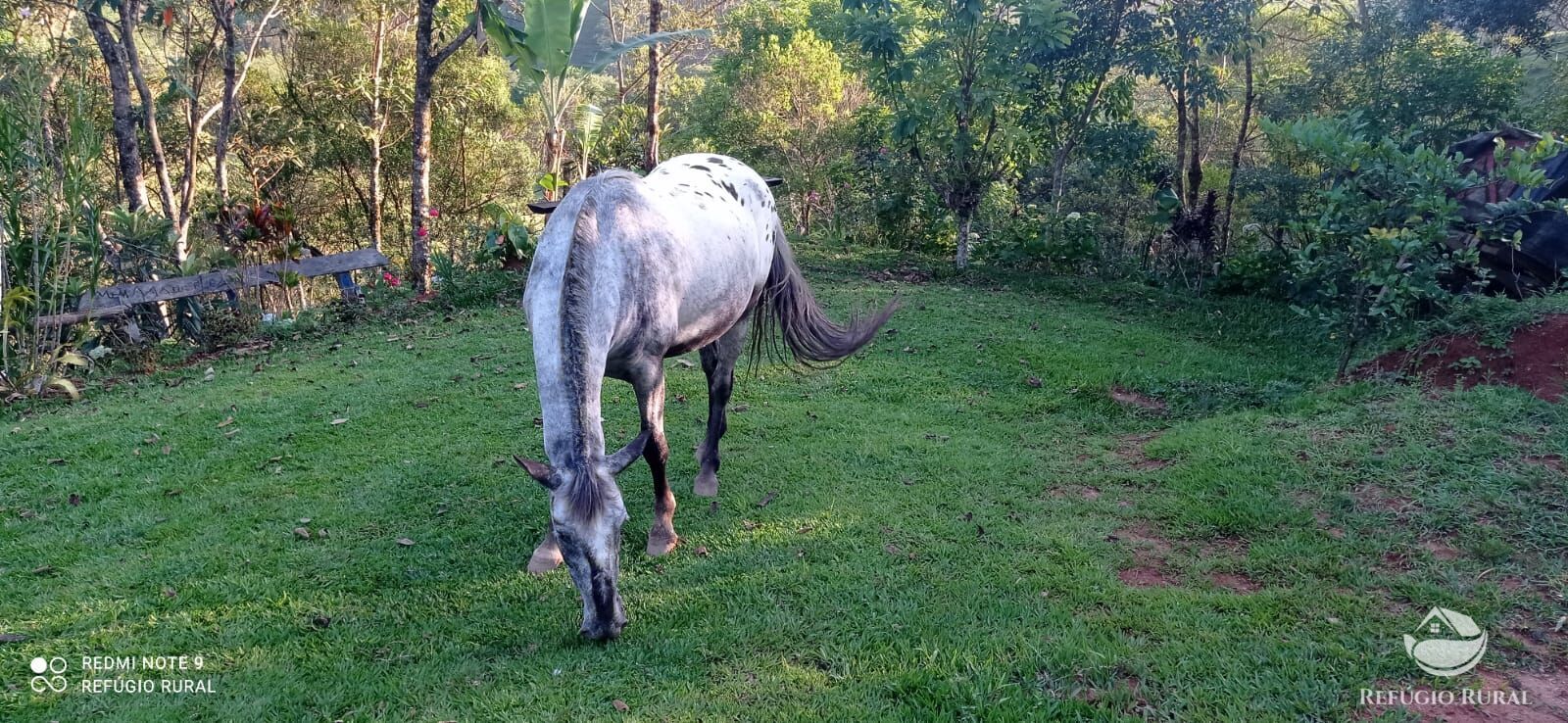 Chácara de 1 ha em São José dos Campos, SP