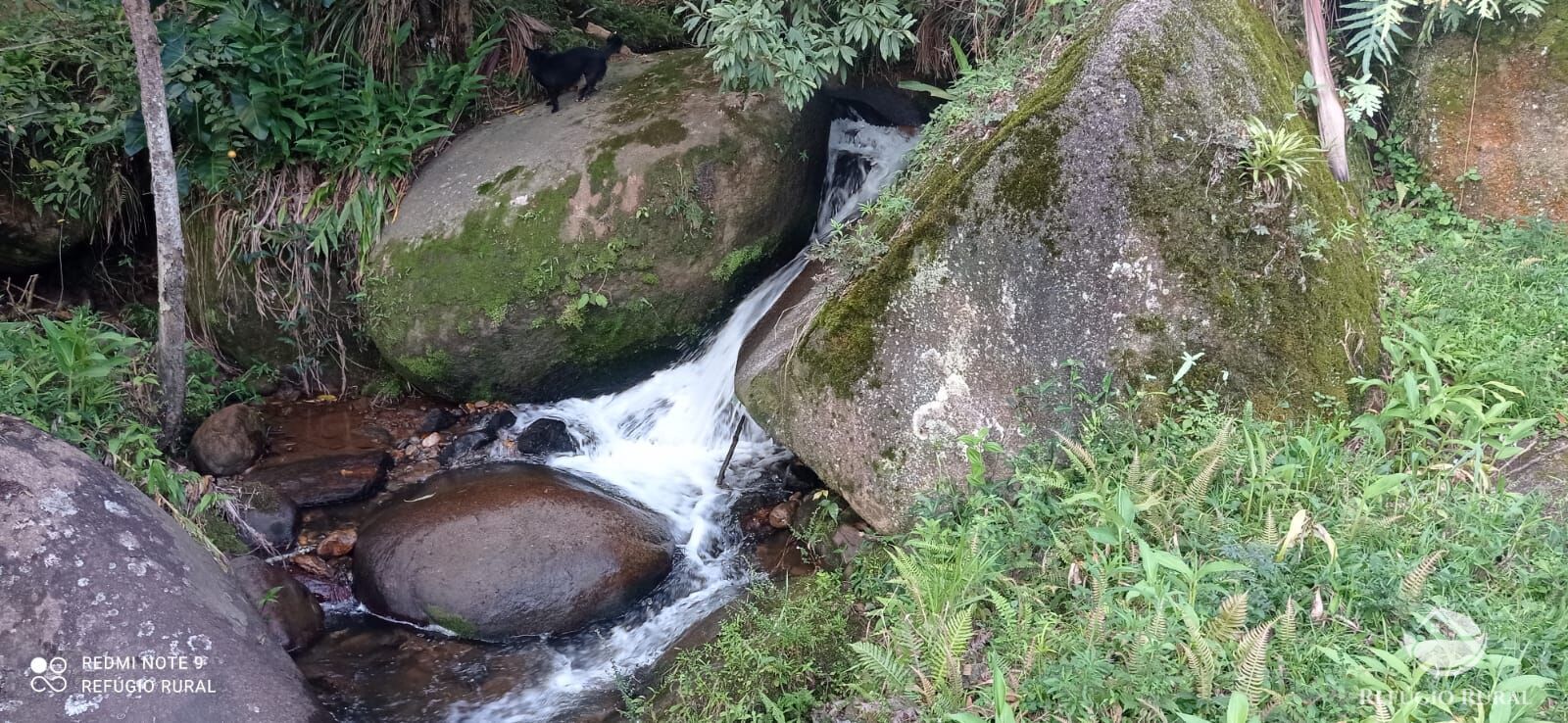 Chácara de 1 ha em São José dos Campos, SP