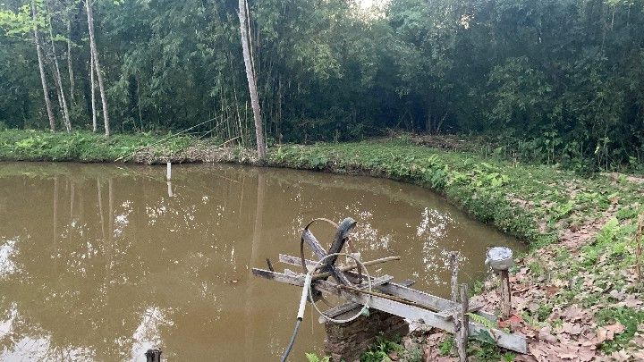 Chácara de 6 ha em Riozinho, RS