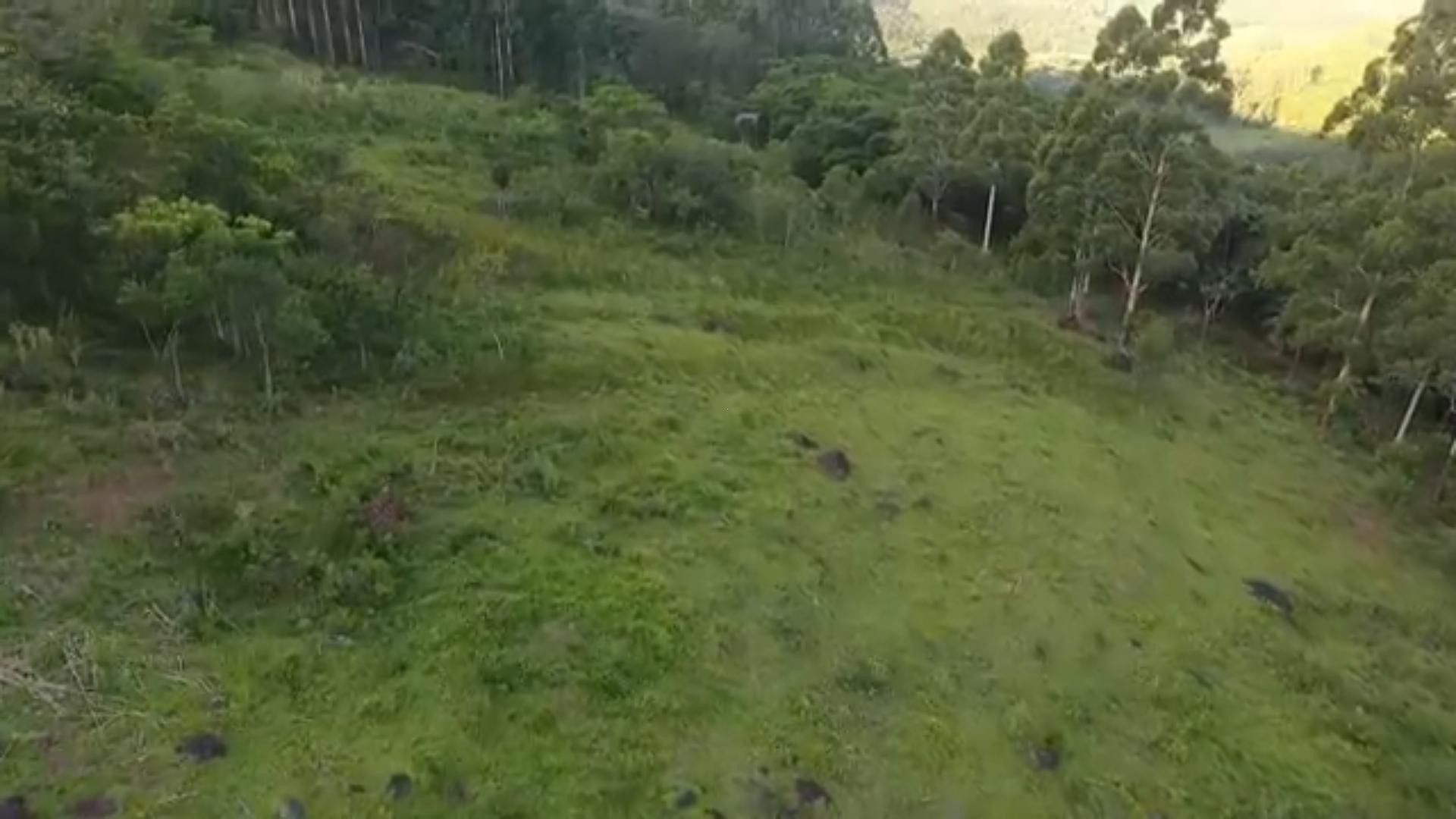 Chácara de 5 ha em Caraá, RS