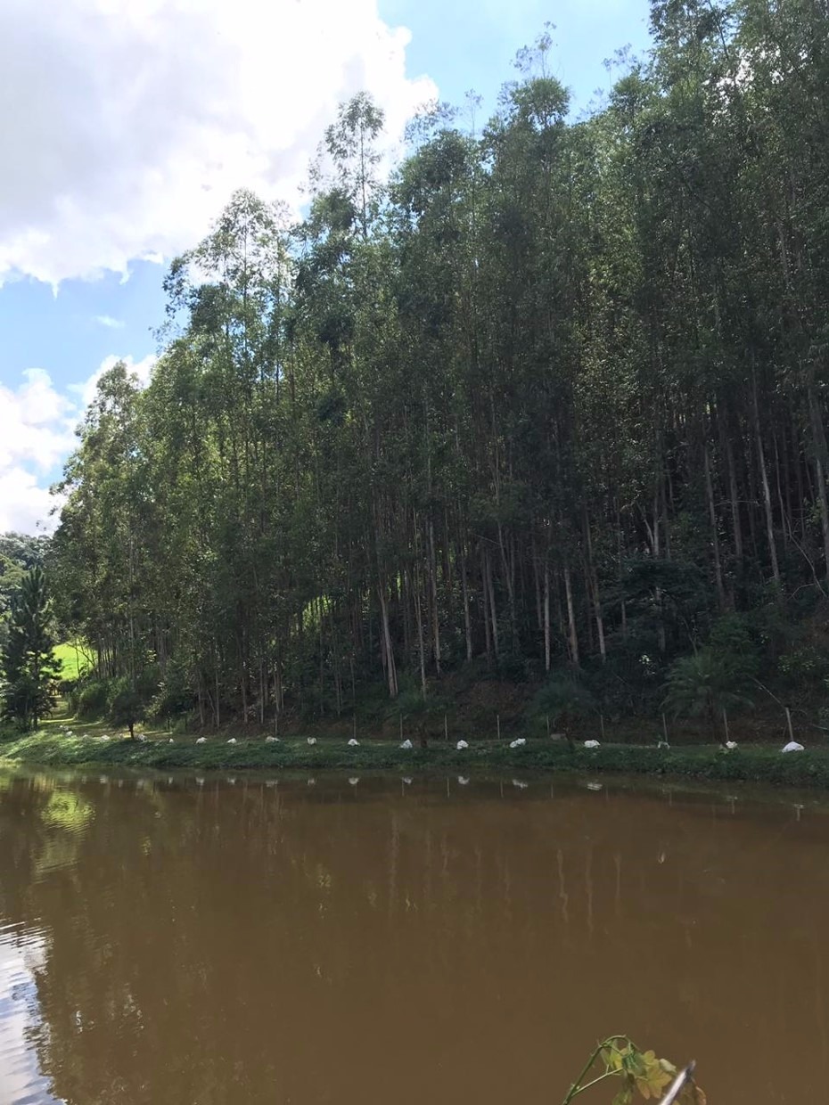 Sítio de 34 ha em Redenção da Serra, SP