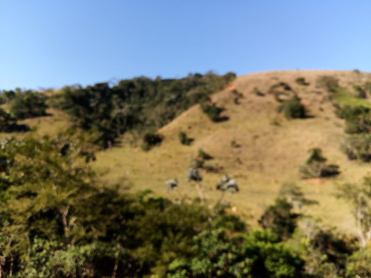 Fazenda de 1.021 ha em Natividade da Serra, SP