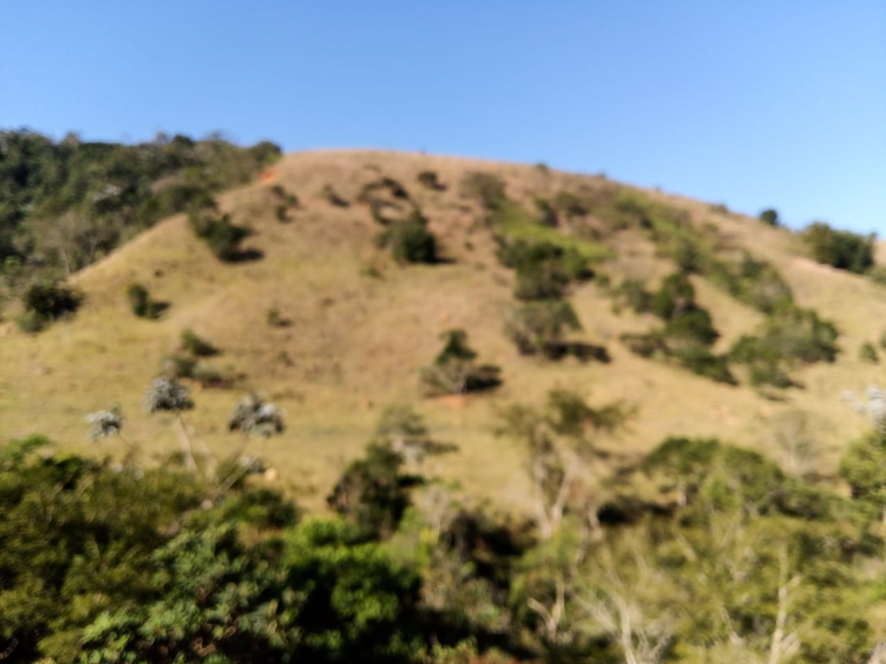 Fazenda de 1.021 ha em Natividade da Serra, SP