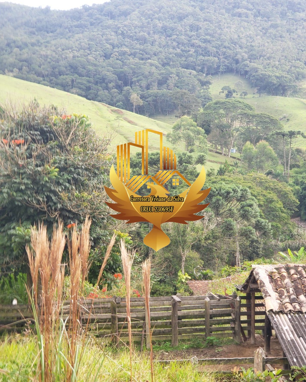 Sítio de 33 ha em São Luiz do Paraitinga, SP