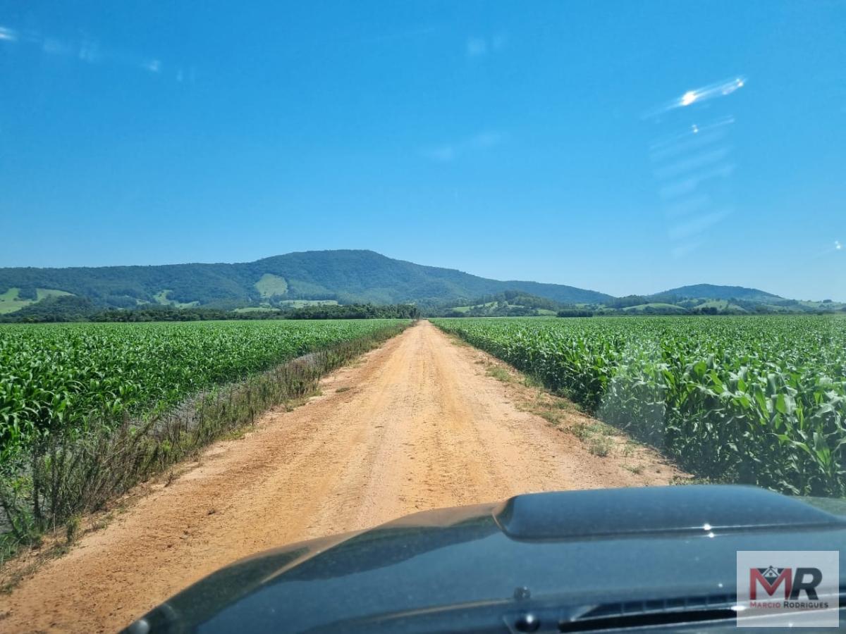 Fazenda de 134 ha em São Sebastião da Bela Vista, MG