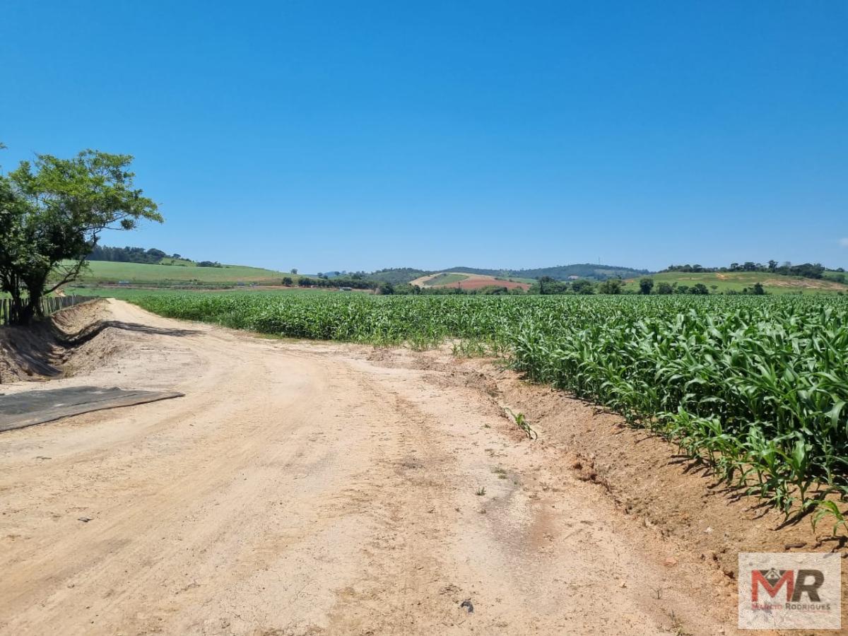 Fazenda de 134 ha em São Sebastião da Bela Vista, MG