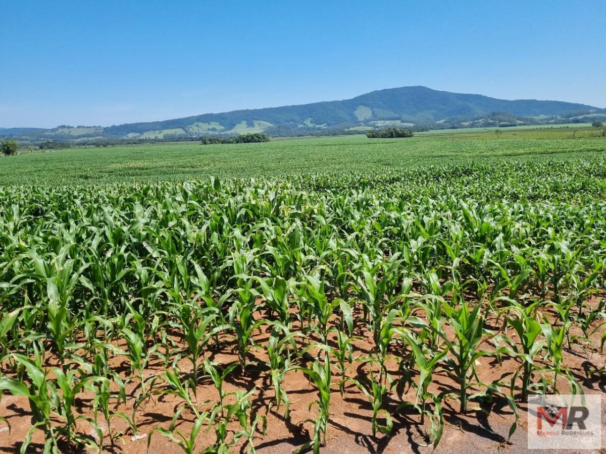 Fazenda de 134 ha em São Sebastião da Bela Vista, MG