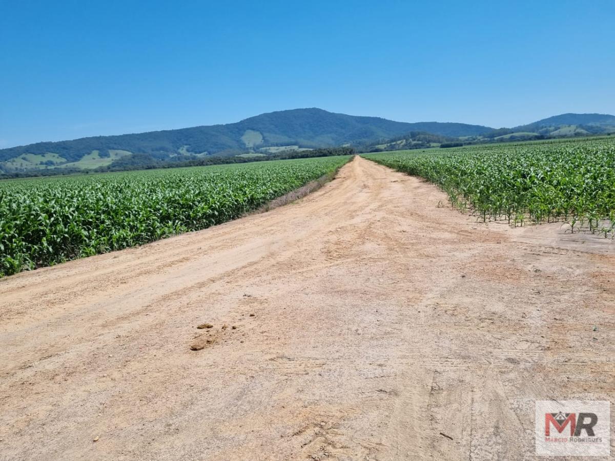 Fazenda de 134 ha em São Sebastião da Bela Vista, MG