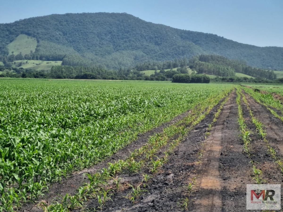 Fazenda de 134 ha em São Sebastião da Bela Vista, MG