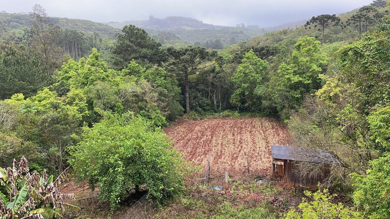 Chácara de 3 ha em Caraá, RS