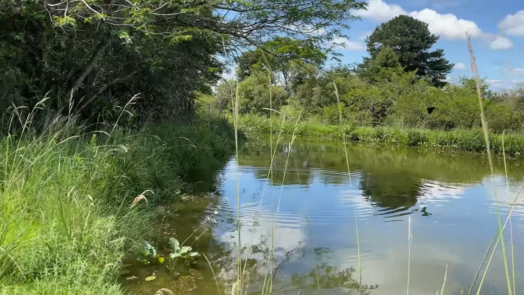 Chácara de 1.300 m² em Glorinha, RS