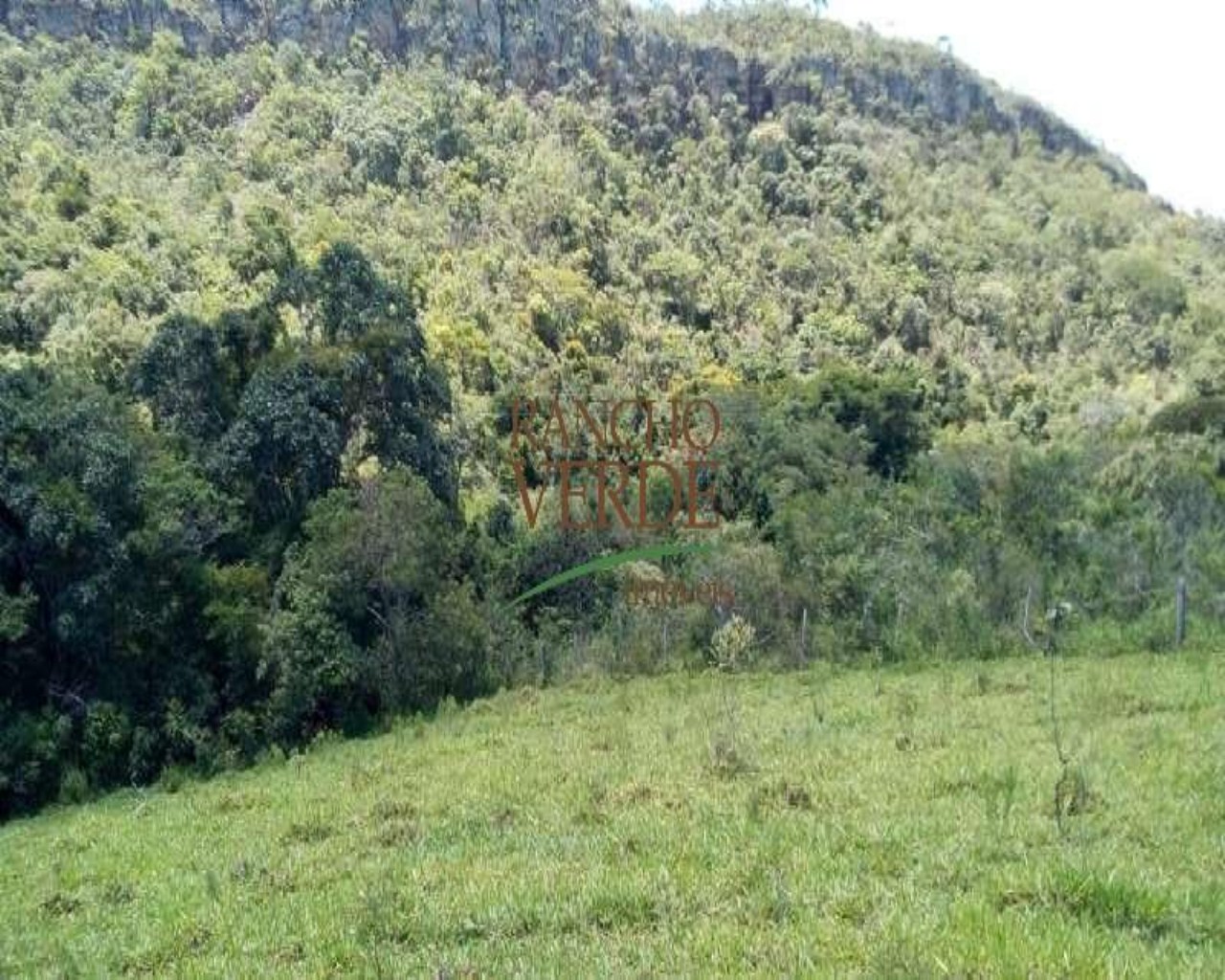 Fazenda de 153 ha em São Tomé das Letras, MG