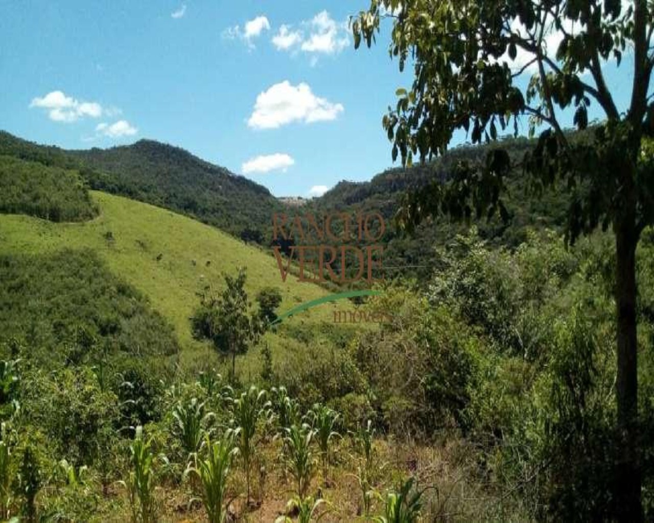 Fazenda de 153 ha em São Tomé das Letras, MG