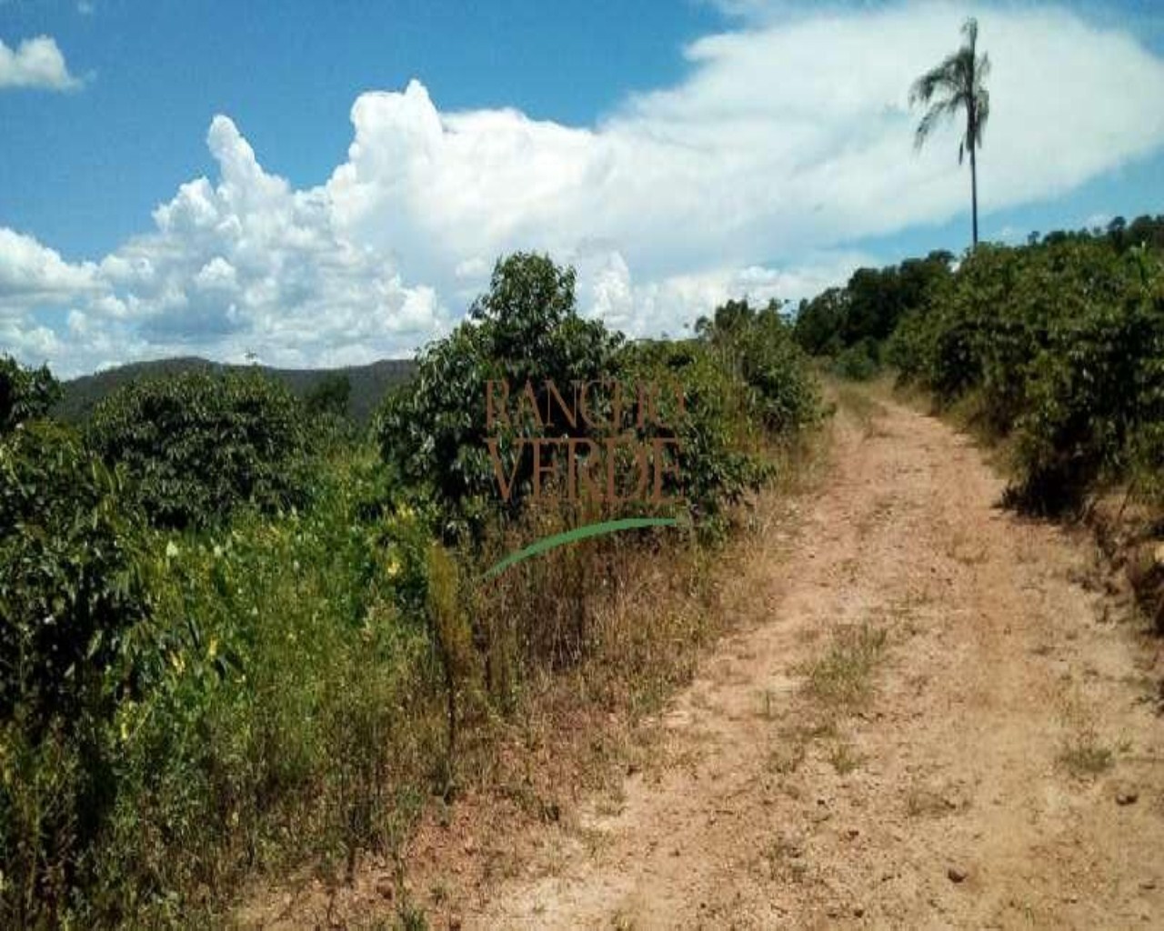Fazenda de 153 ha em São Tomé das Letras, MG