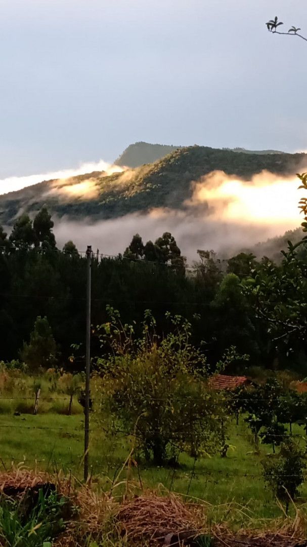 Chácara de 1 ha em Riozinho, RS