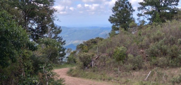 Chácara de 1 ha em Riozinho, RS