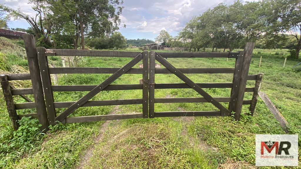 Fazenda de 121 ha em Cambuí, MG