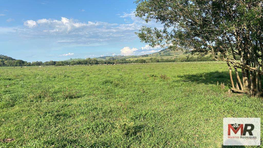 Fazenda de 121 ha em Cambuí, MG