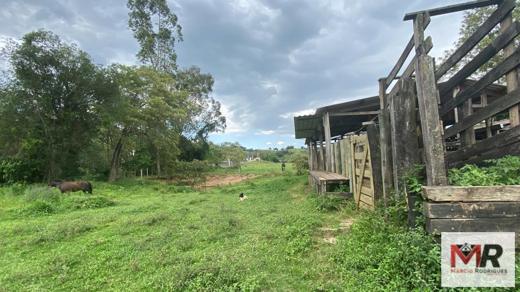 Fazenda de 121 ha em Cambuí, MG